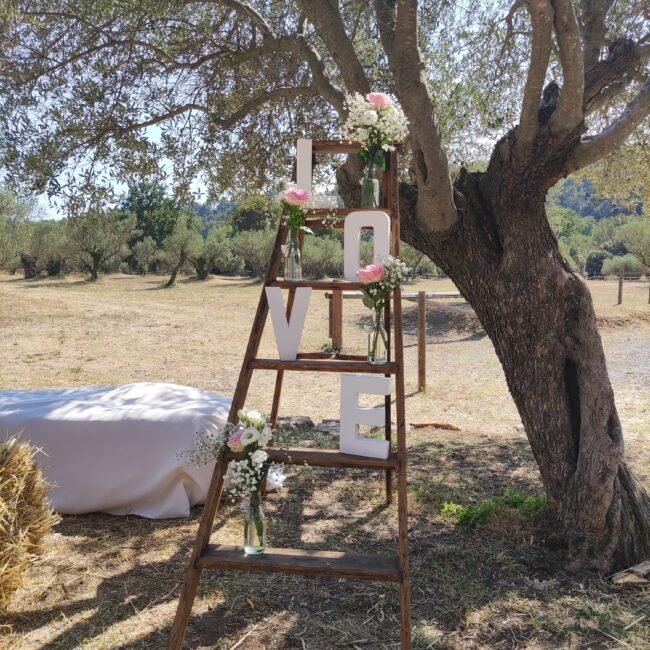 Mariage champêtre sillans-la-cascade - echelle rustique