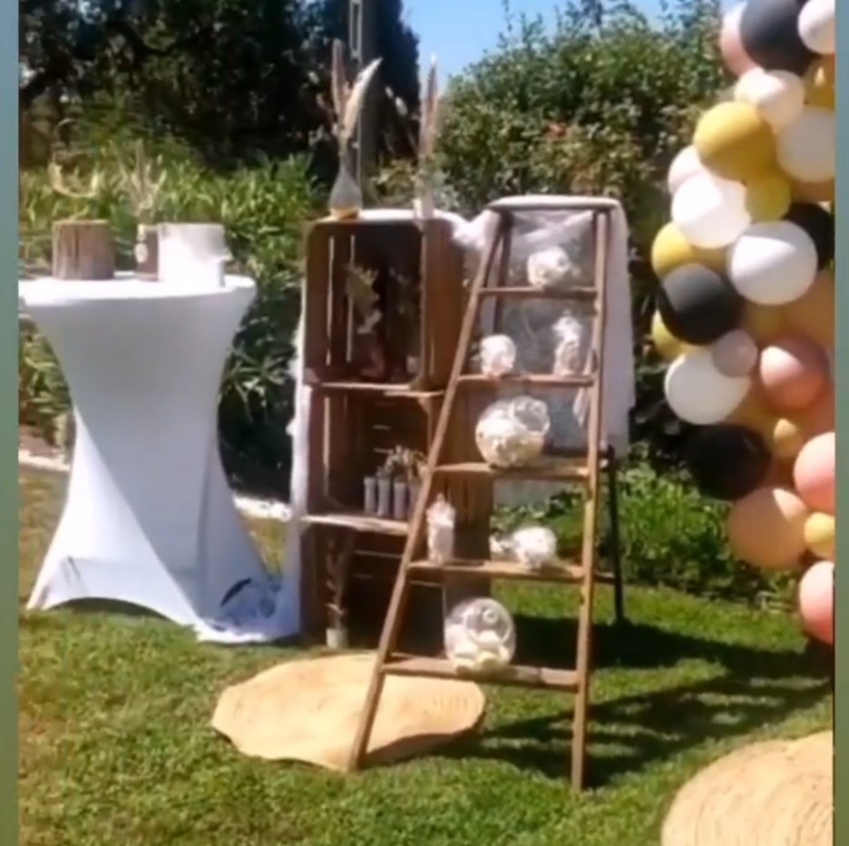 Mange debout – Image 4