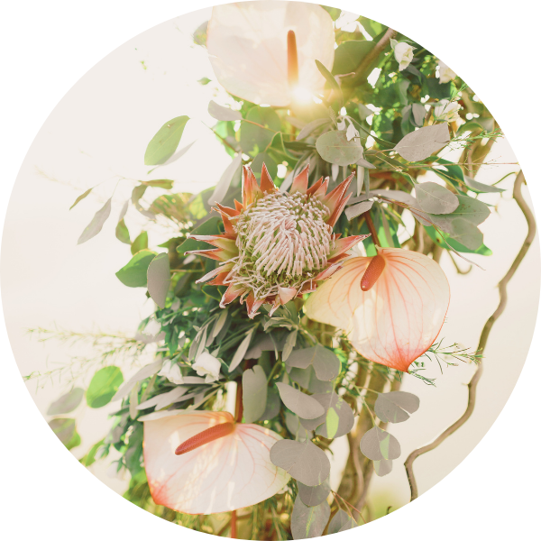 Organisez un mariage ou un évenement exotique avec Evenement Mariage